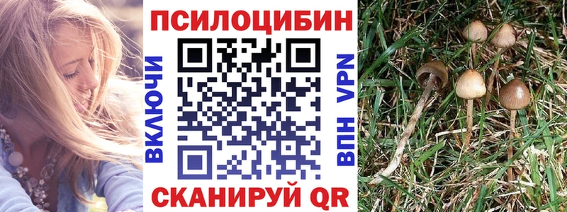 Купить  Назрань  Галлюциногенные грибы мухоморы 