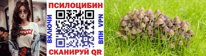 Псилоцибиновые грибы ЛСД Назрань