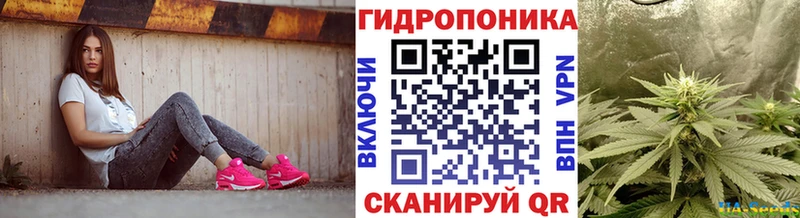 Каннабис конопля Назрань